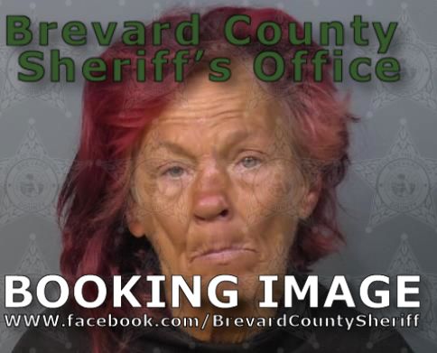 Mugshot of Tracie Farmer Summit