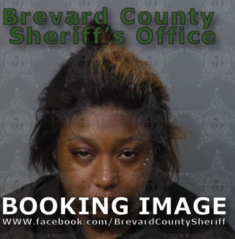 Mugshot of Akayla Burks