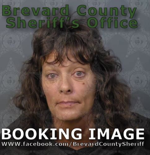 Mugshot of Tawnya Kay Allender
