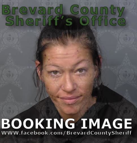 Mugshot of Brianna Marie Carlson