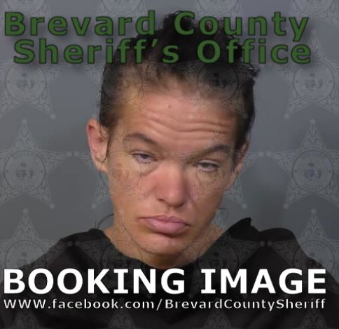 Mugshot of Tracy Elizabeth Goodwin
