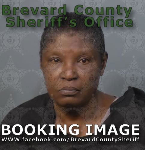 Mugshot of Barbara Ann Lewis