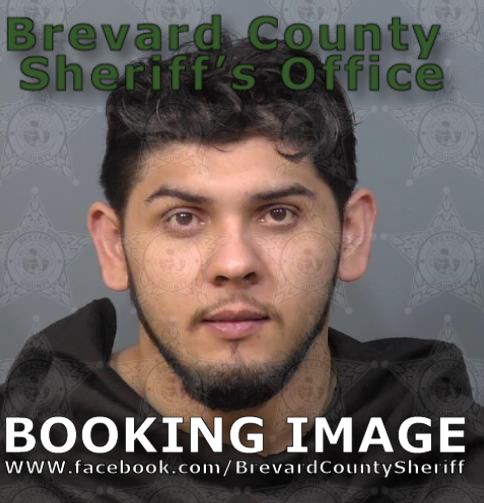 Mugshot of Casian Sava