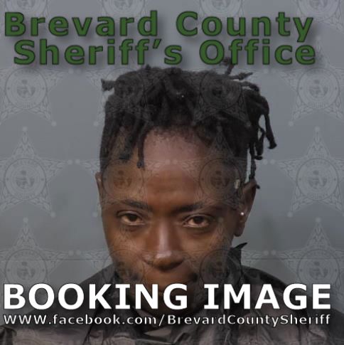 Mugshot of Marie Sandra Hilaire