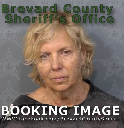 Mugshot of Barbara Helen Vidacs