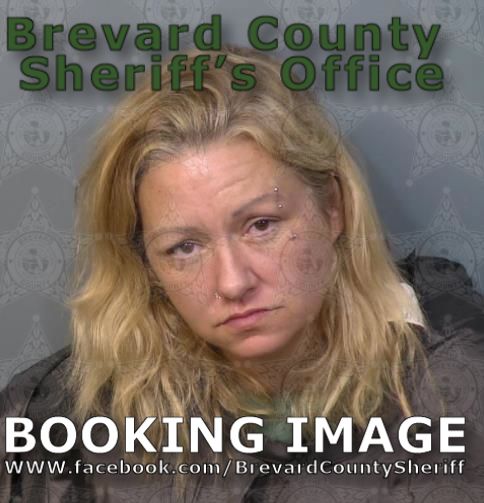 Mugshot of April Lee Mccollum