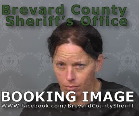 Mugshot of Danielle Lynn Drulard