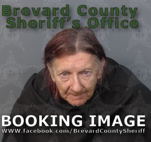 Mugshot of Colleen Ann Kletzman
