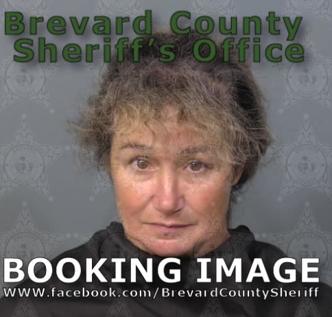 Mugshot of Christine Elaine Allmon