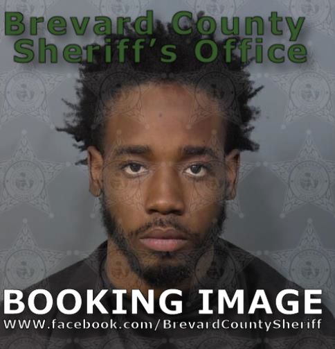 Mugshot of Realdo Drazique Delva