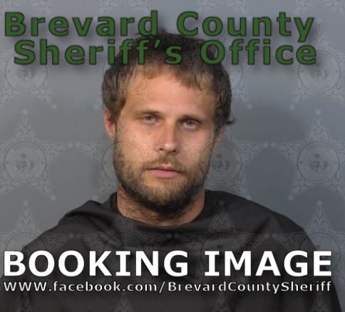 Mugshot of Logan Alexander Mills