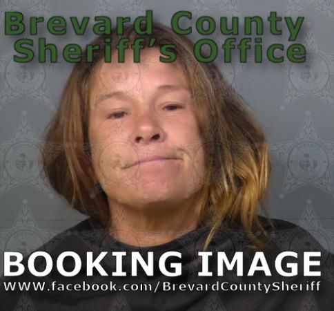 Mugshot of Amy Jean Nave