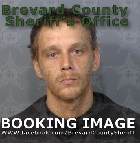 Mugshot of Brandon Lee True