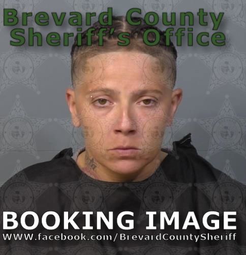 Mugshot of Marissa Anne Larocca Pagan
