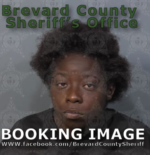 Mugshot of Tivanda Destiny Latrease Johnson