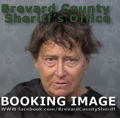 Mugshot of Pamela Jean Dresser