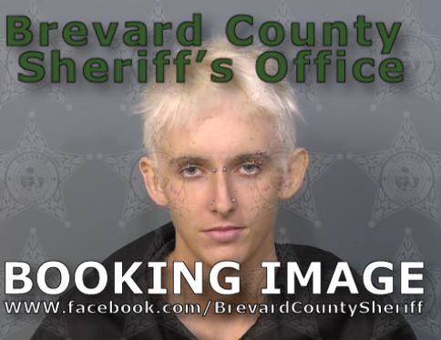 Mugshot of Diamond Marie Bridges Rush