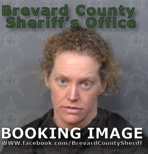 Mugshot of Tonya Lynn Chesley