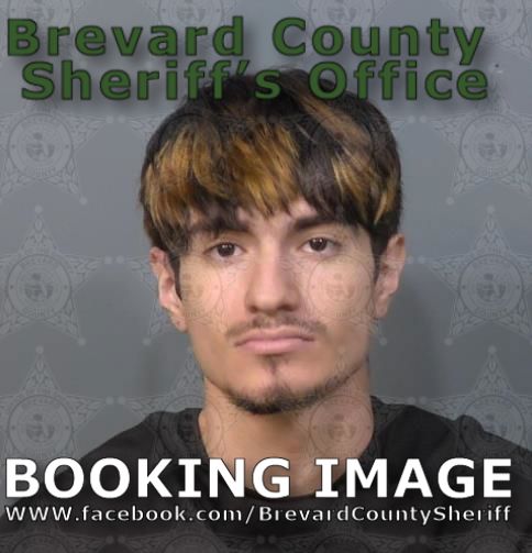 Mugshot of Gavin Elijah Lahan