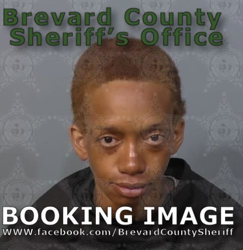 Mugshot of Vanessa Abigail Mclaughlin