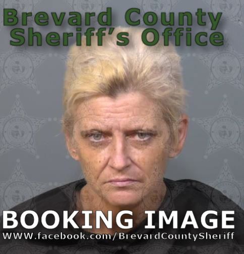 Mugshot of Tonya Marie Winters