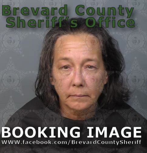Mugshot of Andrea Lynn Beel
