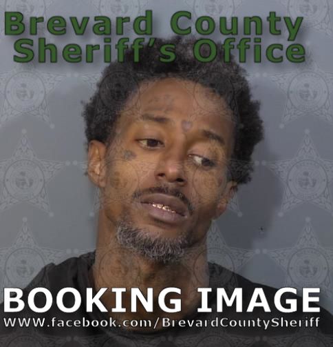 Mugshot of Tracy Jerome Boother