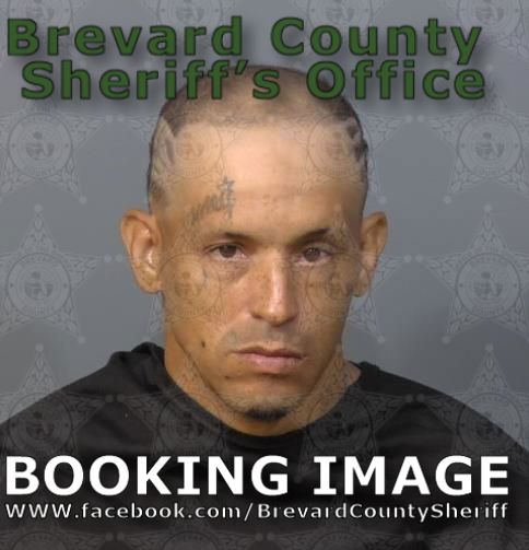 Mugshot of Wolfredo Vargas Torres