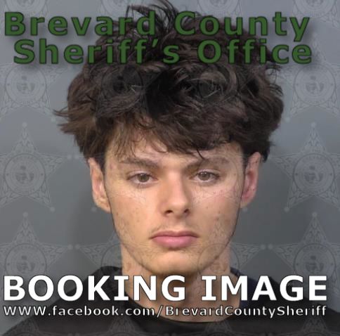 Mugshot of Dallas Lee Holliday