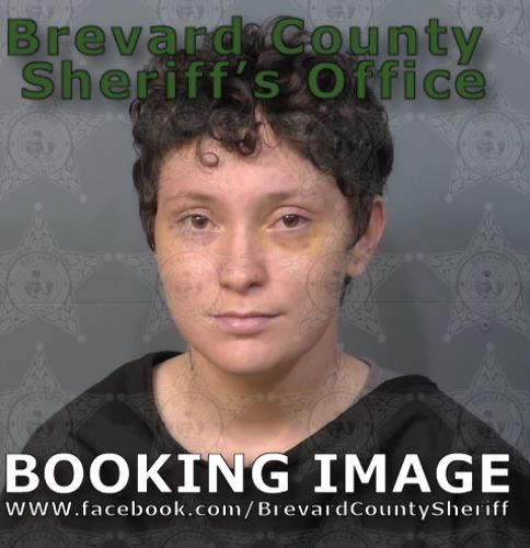 Mugshot of Kyley Rose Ward