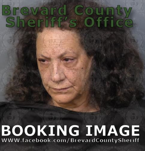 Mugshot of Dany Nicole Davis