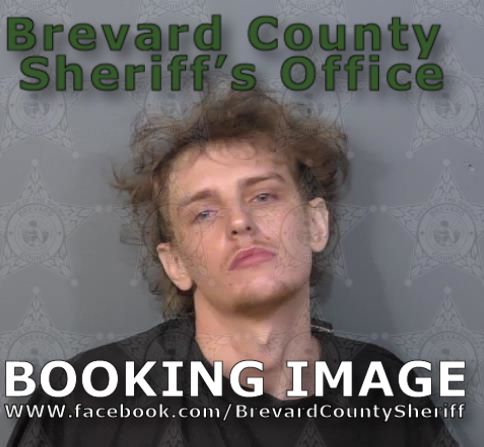 Mugshot of Dominic Steven Andrews