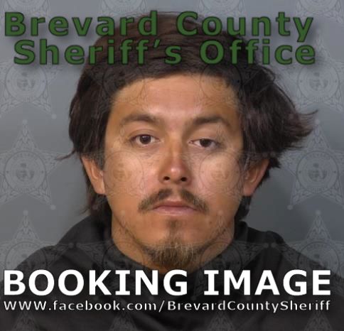 Mugshot of Luis Fernando Cerecero