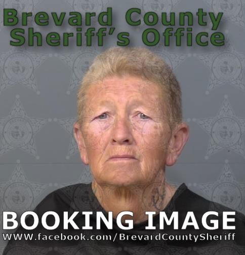 Mugshot of Lisa Ann Barber