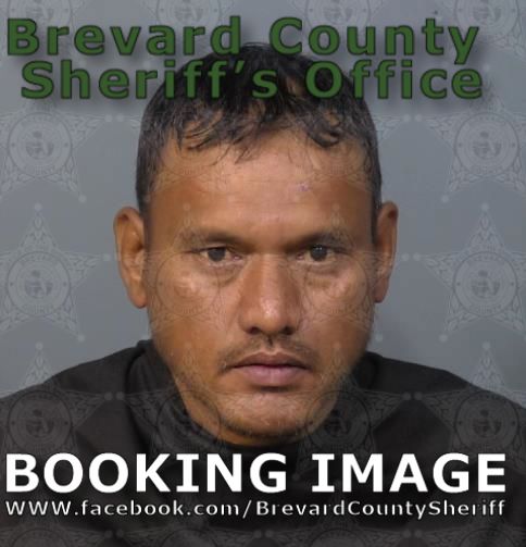 Mugshot of Joey Aiseia