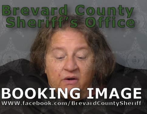 Mugshot of Lorie Leigh Capp