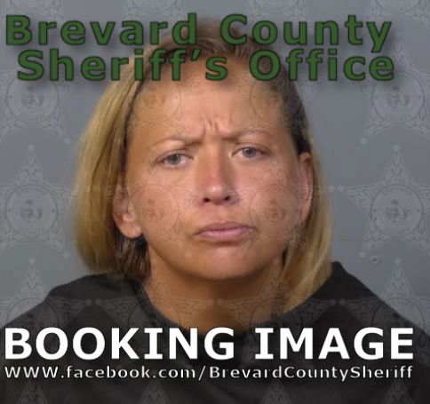 Mugshot of Diana Marie Lowery