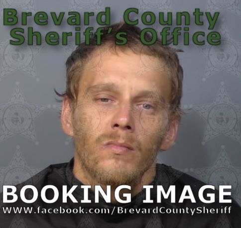 Mugshot of Brandon Lee True
