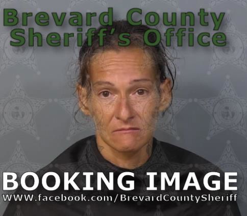 Mugshot of Dawn Alisa Padilla