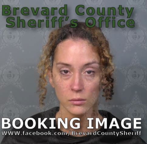 Mugshot of Naomee Elizabeth Schley