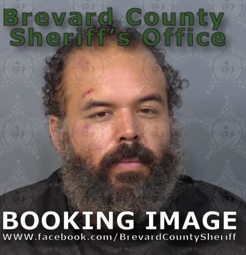 Mugshot of Mark Scott Nelson