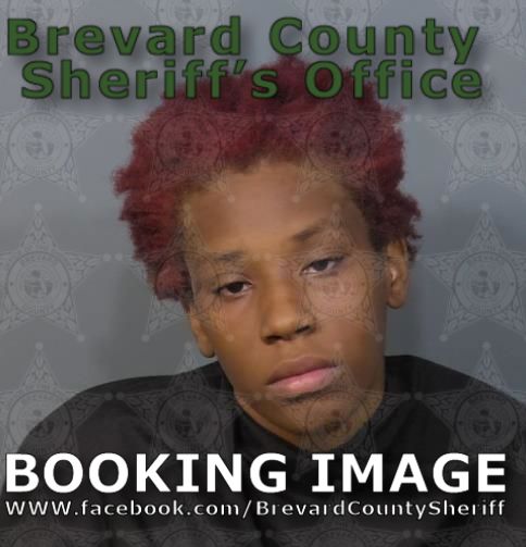 Mugshot of Destiny Cheyenne Brimmer