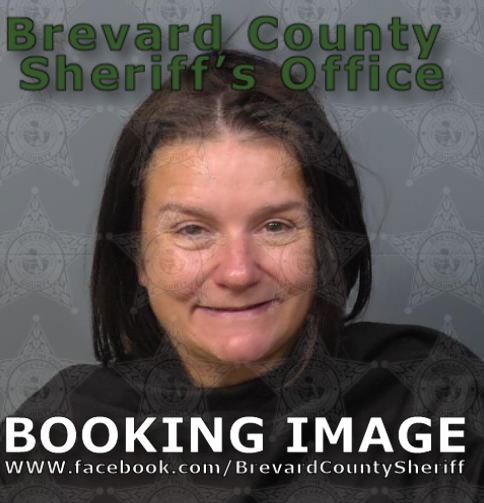 Mugshot of Dawn E Mcnally