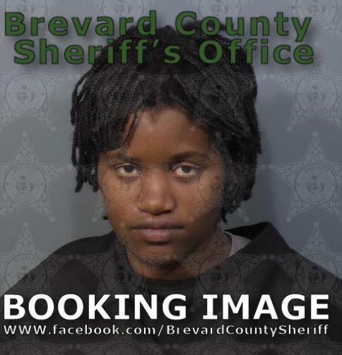 Mugshot of Patrice Sidnei Sneed