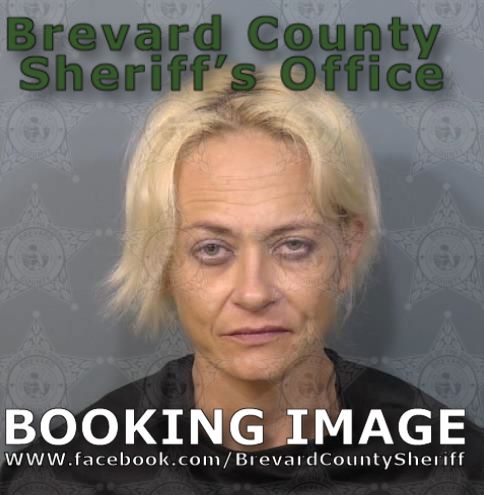 Mugshot of Jolene Lynn Forant