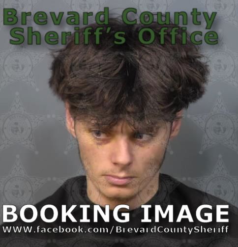 Mugshot of Dallas Lee Holliday