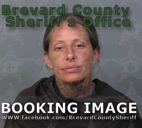 Mugshot of Dana Marie Maaser