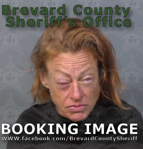 Mugshot of Terry Elizabeth Van Orden