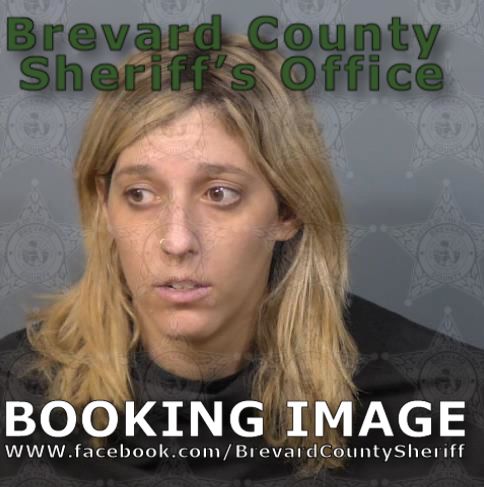 Mugshot of Ginette Susannah Radzewicz