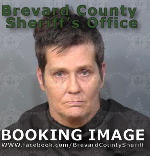 Mugshot of Stacey Michelle Damico